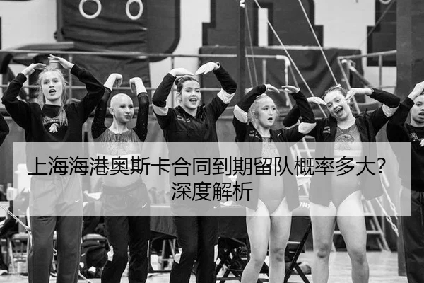 shang-hai-hai-gang-ao-si-ka-he-tong-dao-qi-liu-dui-gai-lv-duo-da-shen-du-jie-xi-2-125.jpg