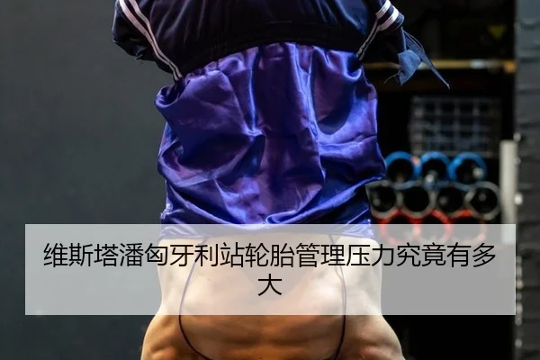 wei-si-ta-pan-xiong-ya-li-zhan-lun-tai-guan-li-ya-li-jiu-jing-you-duo-da-2-609.jpg